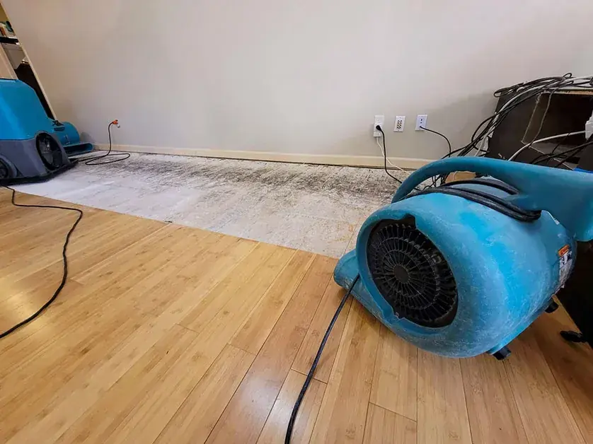 Air mover and dehumidifier drying a Utah Valley room